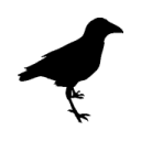 Raven Icon